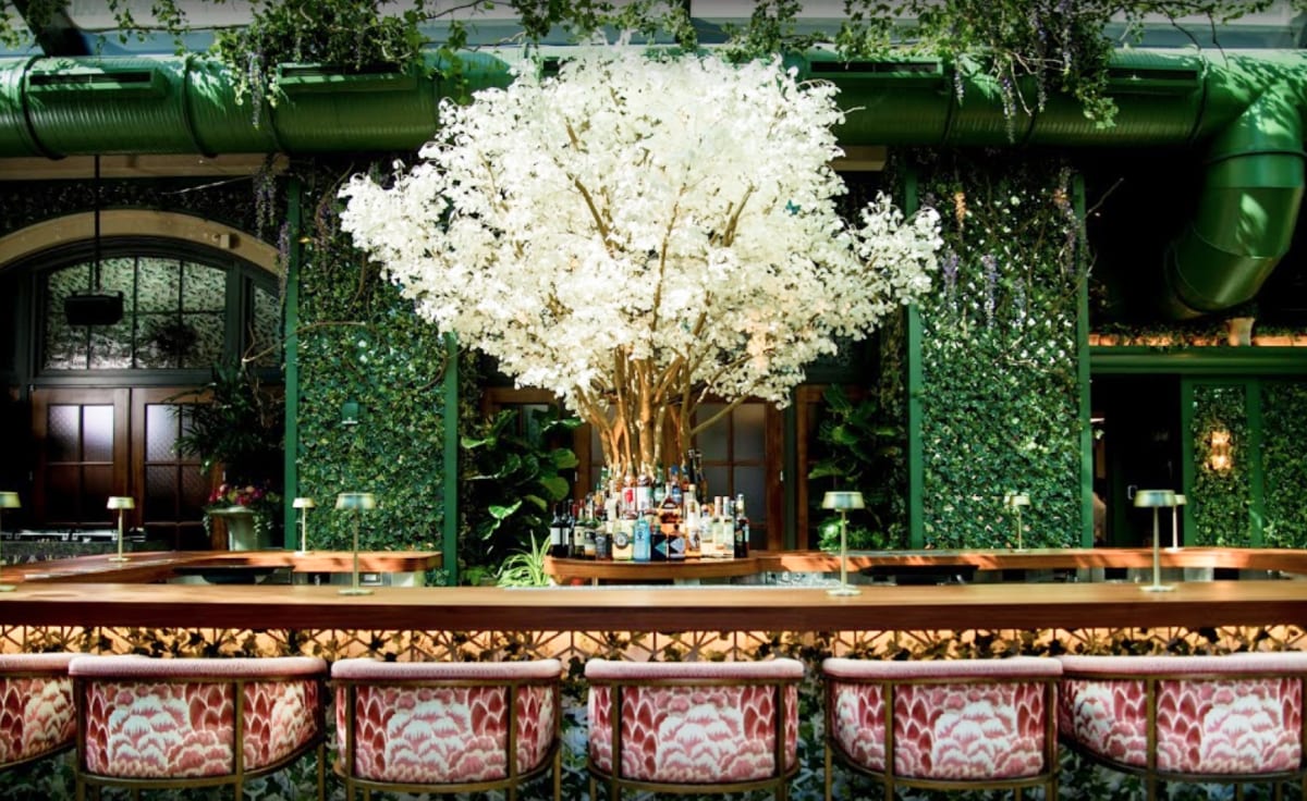 Outdoor luxury bar with tree in the middle